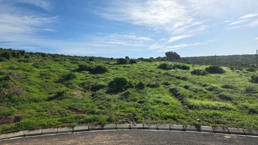 0 Bedroom Property for Sale in Saldanha Heights Western Cape